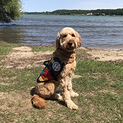 Autism Service Dog Delivered to Assist 11-Year-Old Boy in Saskatchewan, Canada