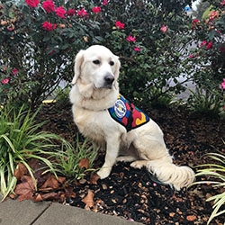Custom Trained Autism Service Dog Delivered to Assist 6-Year-Old Boy in Edmond, OK