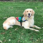 Autism Service Dog Delivered to Assist 11-Year-Old Boy in Centre Hall, PA