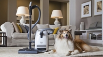 Miele Launches "Miele Pets" Photo Contest