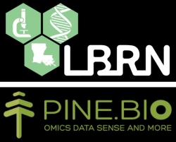 OmicsLogic Bioinformatics Training Program Offered Through Louisiana Biomedical Research Network (LBRN)