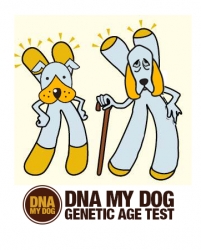 dog age dna test