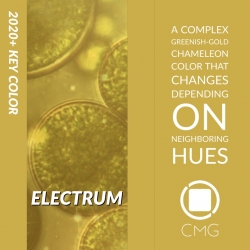 Color Marketing Group Announces 2020+ North American Key Color – Electrum