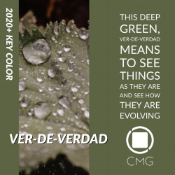 Color Marketing Group Announces 2020+ Latin American Key Color – Ver-de-verdad