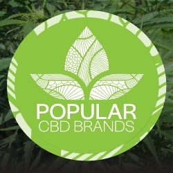 PopularCBDBrands.com Announces the Best CBD Oils of 2018-2019