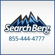 Search Berg is Bringing Revolutionary Digital Marketing in Today’s Evolutionary Digital Era