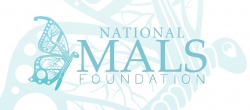 National MALS Foundation Established to Provide Hope and Support for Those Suffering with Median Arcuate Ligament Syndrome (MALS)