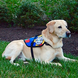 Autism Service Dog Delivered to Assist 10-Year-Old Girl in Hawthorne, NJ