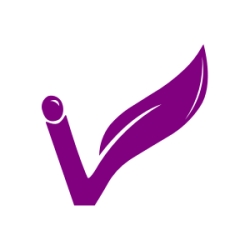 Purple Olive Labs Diversified Into Mobile and Web App Development Services in Dallas, TX