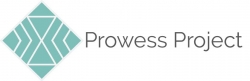 Mom-Powered Prowess Project, Inc. Launches to Improve Workforce Productivity