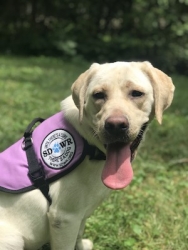 Autism Service Dog Delivered to Assist 7-Year-Old Girl in Mississippi