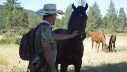 Study Reveals Solution for Range War Between Wild Horses and Cattle Ranchers