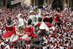 The Running of the Bulls 2020, Eight Days of the Encierro