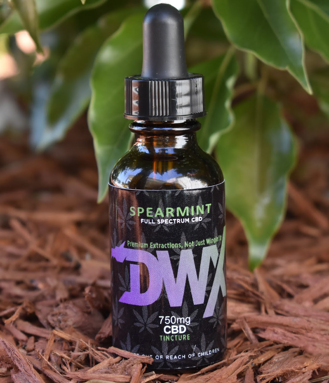 DWX Supports Veterans Through CBD