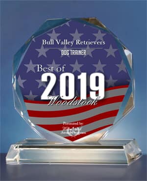 Bull Valley Retrievers Receives 2019 Best of Woodstock Award - Dog Trainer