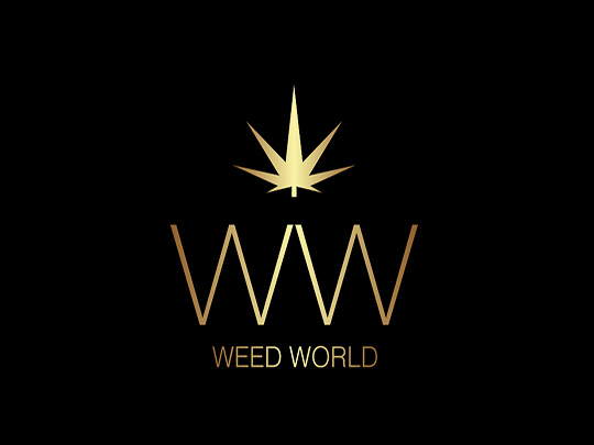 XMG, a Valiant Eagle Inc. (OTC: PSRU) Subsidiary, Launches Weed World Television