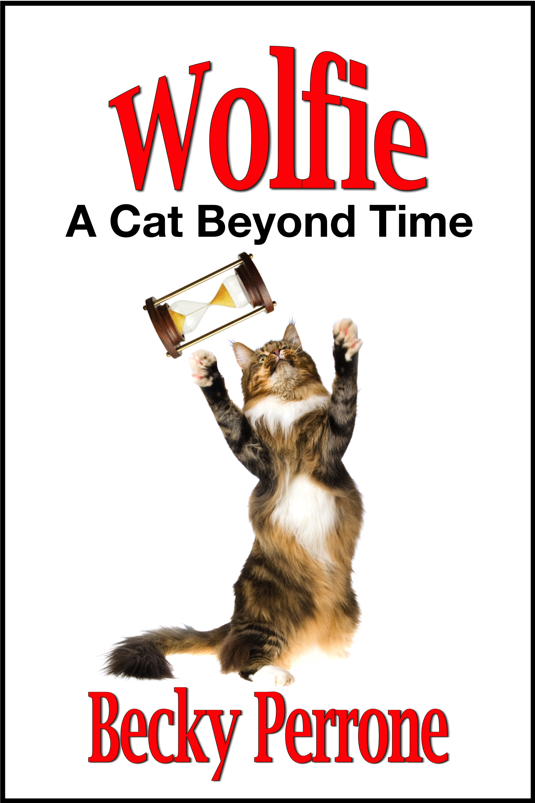 Escarpment Press to Release New YA Book About a Time-Traveling Cat