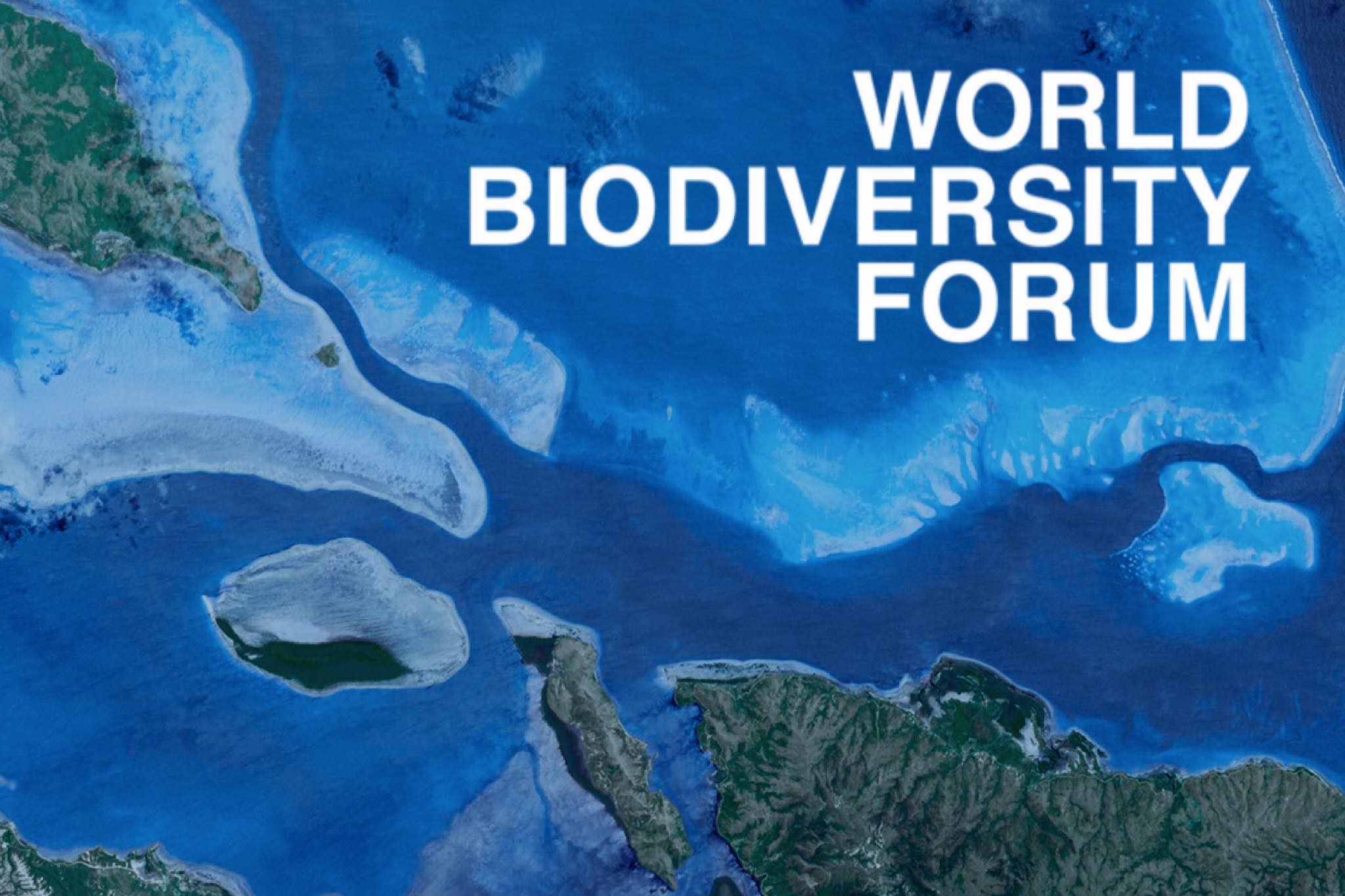 The World Biodiversity Forum Announces New Virtual Convention in January 2021, Advised by the Convention on Biological Diversity and in Collaboration with TEALEAVES