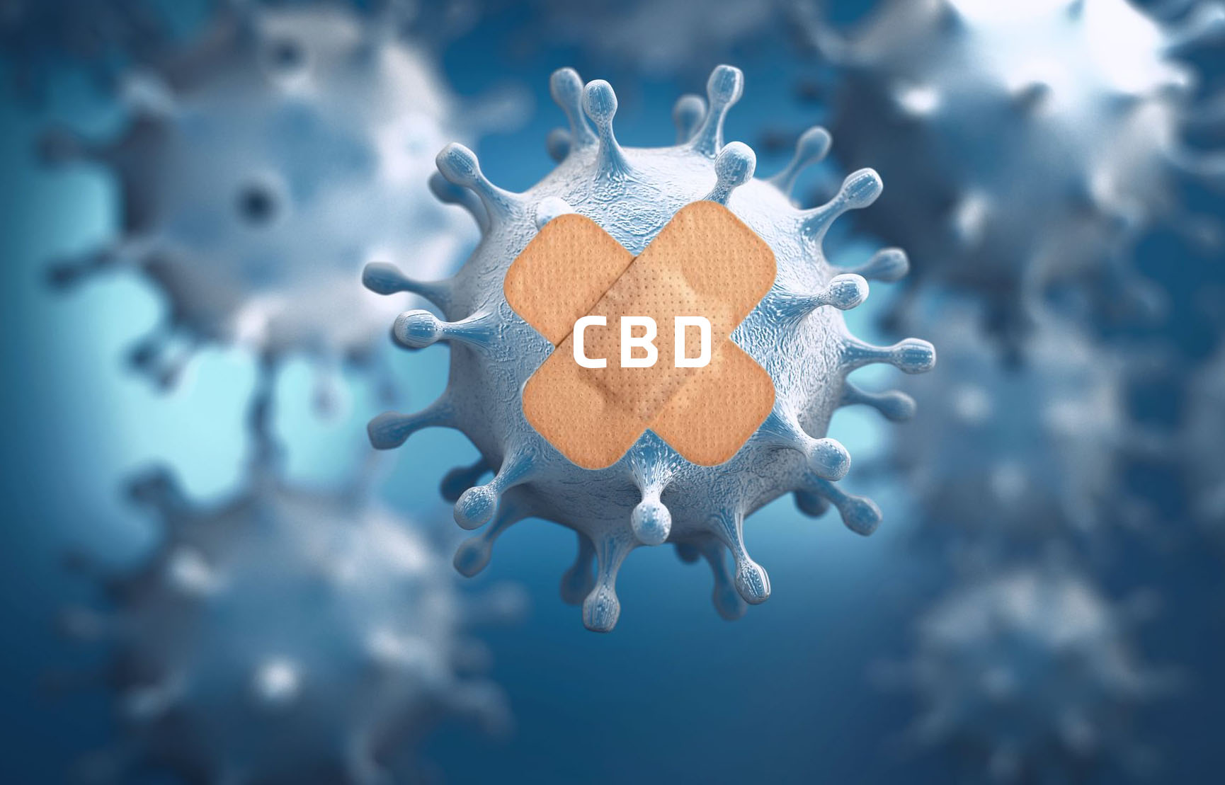 Studies Reveal CBD May Protect Against COVID-19; OC Wellness Solutions' CBD Tinctures and Oils Available
