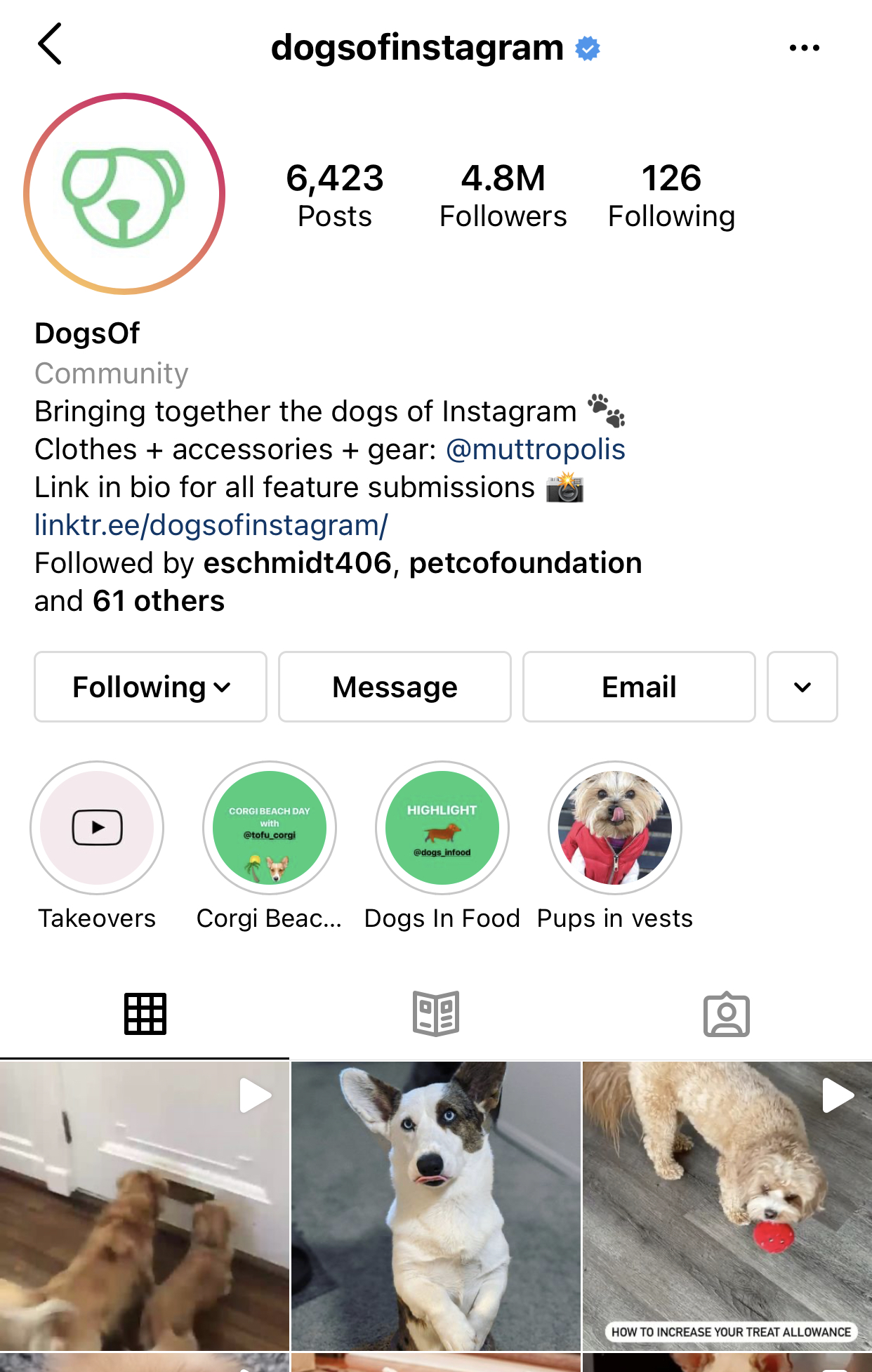 Metamorphosis Partners Acquires “@DogsOfInstagram” Pet Community