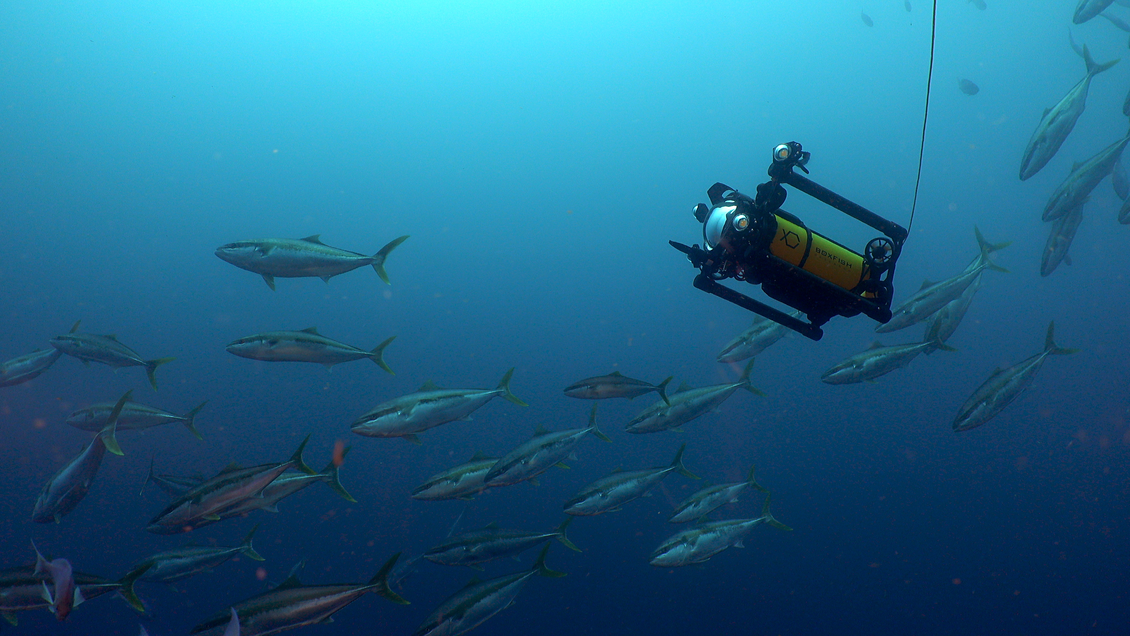 Boxfish Research presenta su último avance tecnológico en la realización de películas subacuáticas