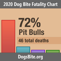 dog bite data