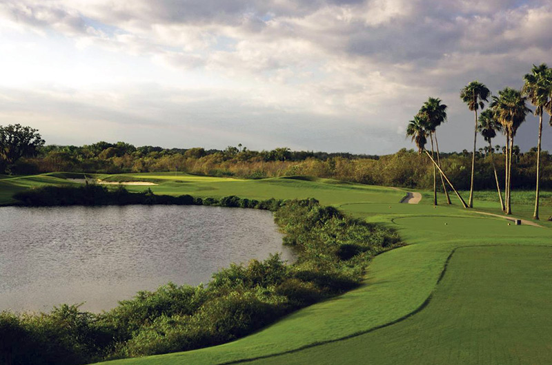 Palm Harbor Golf Club