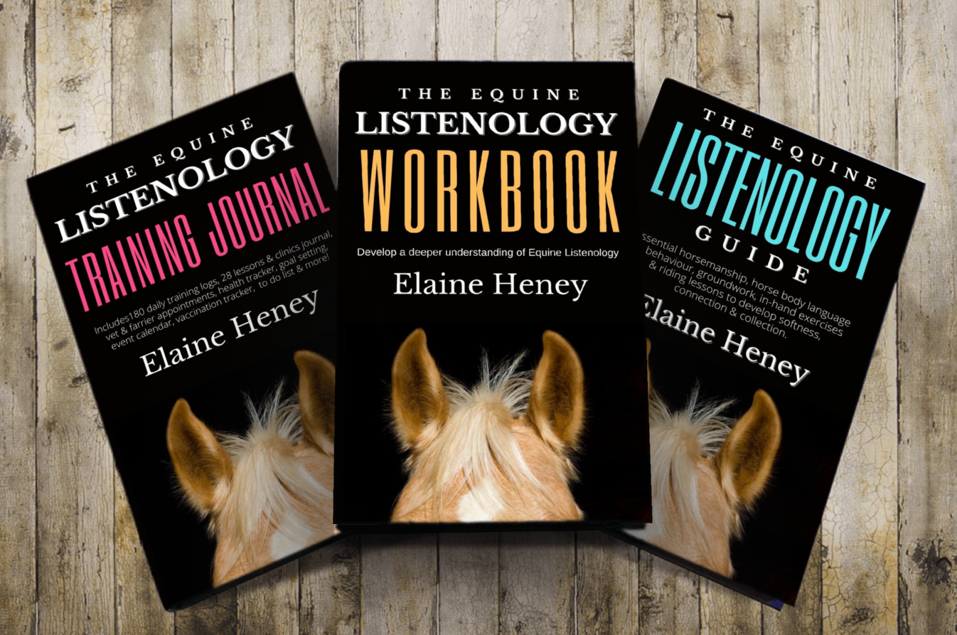 New Horse Training Book by #1 Award-Winning Movie Director Elaine Heney Helps Horse Riders Improve Their Partnerships with Their Horses