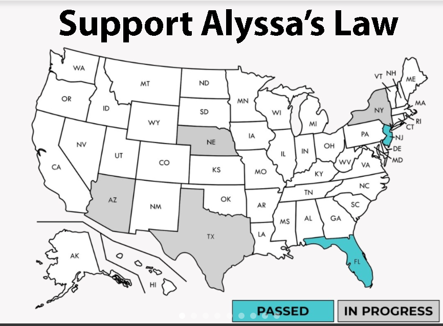 Silent Panic Alarm Subscription for NJ Alyssa's Law Compliance available at www.alyssas.law