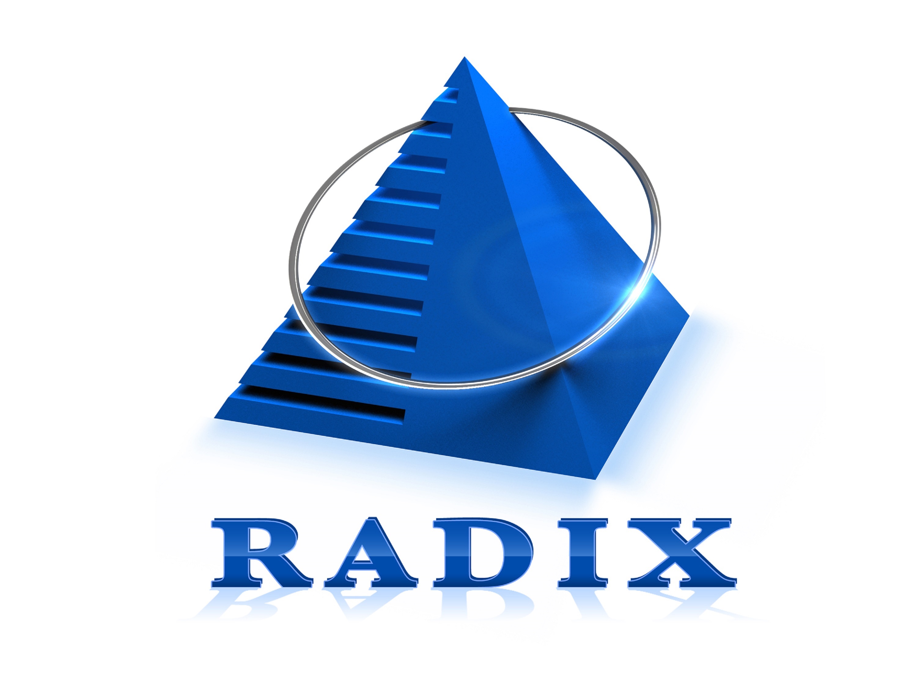 Radixweb’s Logo Sculpture Unveiling – A Step Towards Reiterating Its Promise Towards Constant Innovation