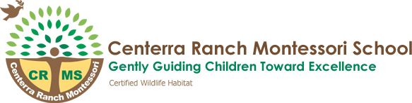Award-Winning Montessori School in Katy, Centerra Ranch Montessori, Seeks to Achieve a Work-Play Balance for Learning and Development