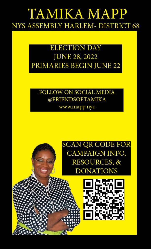 Follow Tamika Mapp as She Runs for New York State Assembly District 68 with This New Site
