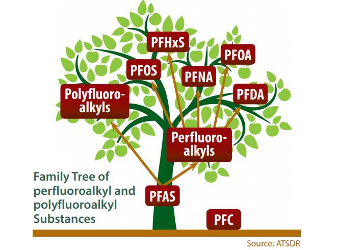 International Panel of Experts Provides Guidance on Key Questions in Risk Assessment of PFAS Chemicals