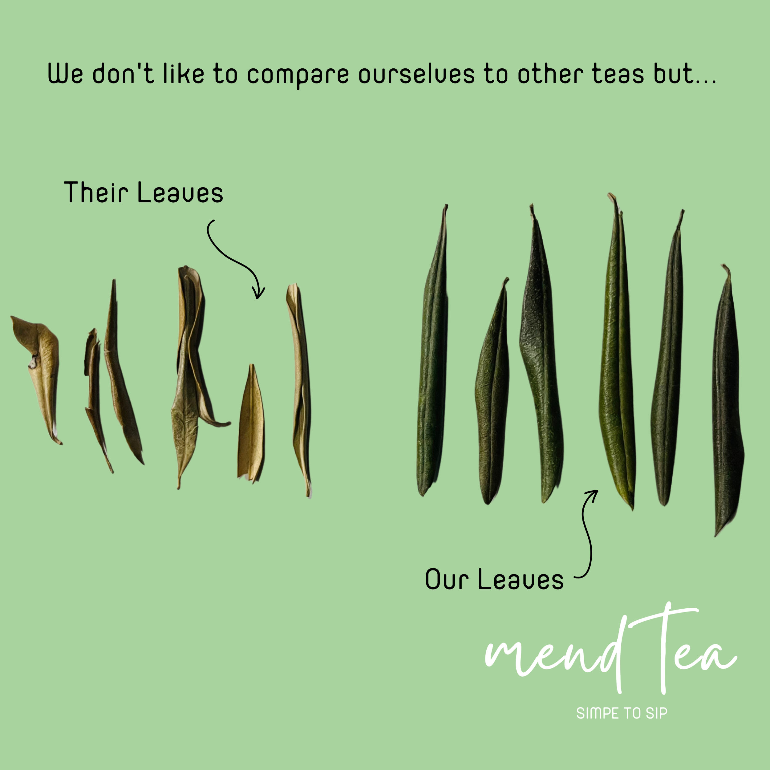 The Sicilian Olive Leaf Tea Company Releases New Whole Leaf Tea Line - Mend Tea