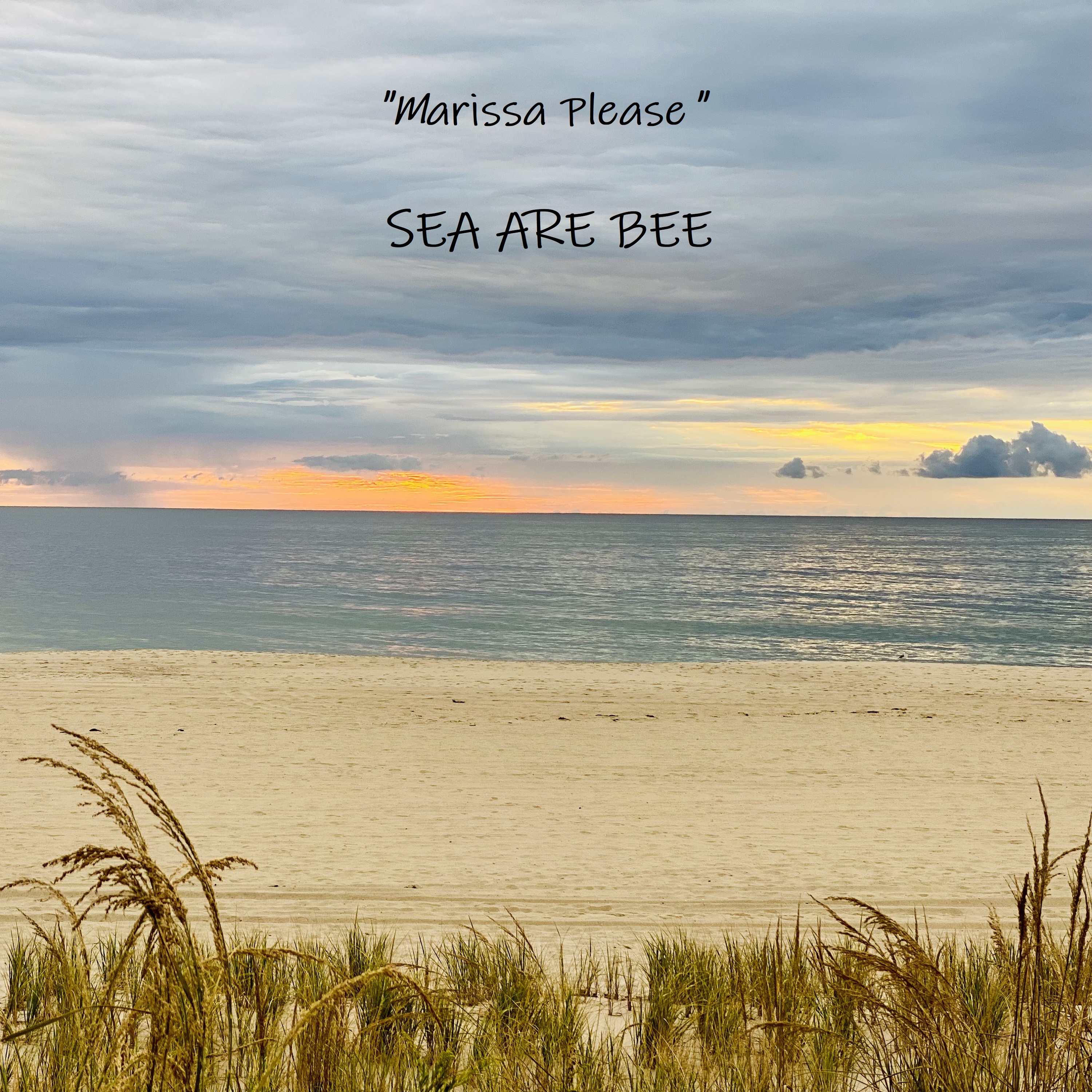 AERIA Records Releases Sea Are Bee Single, "Marissa Please"