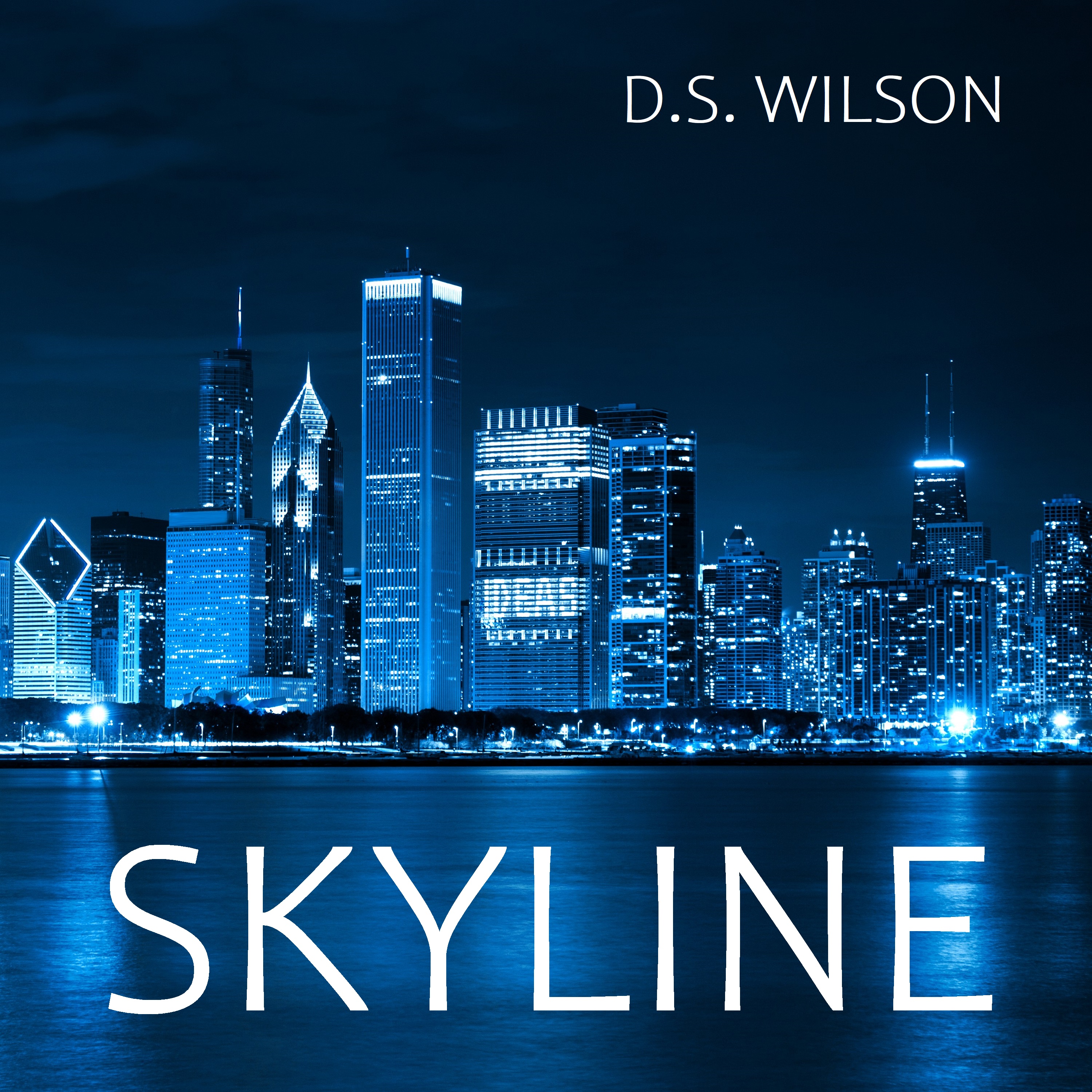 New Album Release: "Skyline" by D.S. Wilson