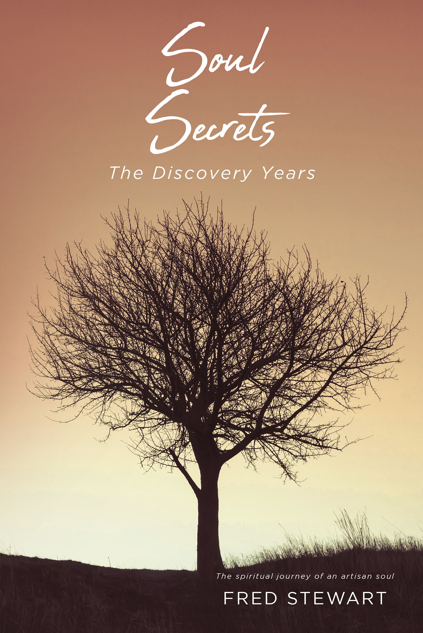 Fred Stewart’s New Book, "Soul Secrets," is an Enthralling Collection of Stories from the Author's Life That Explores Topics of Clairvoyance and Soul Healing