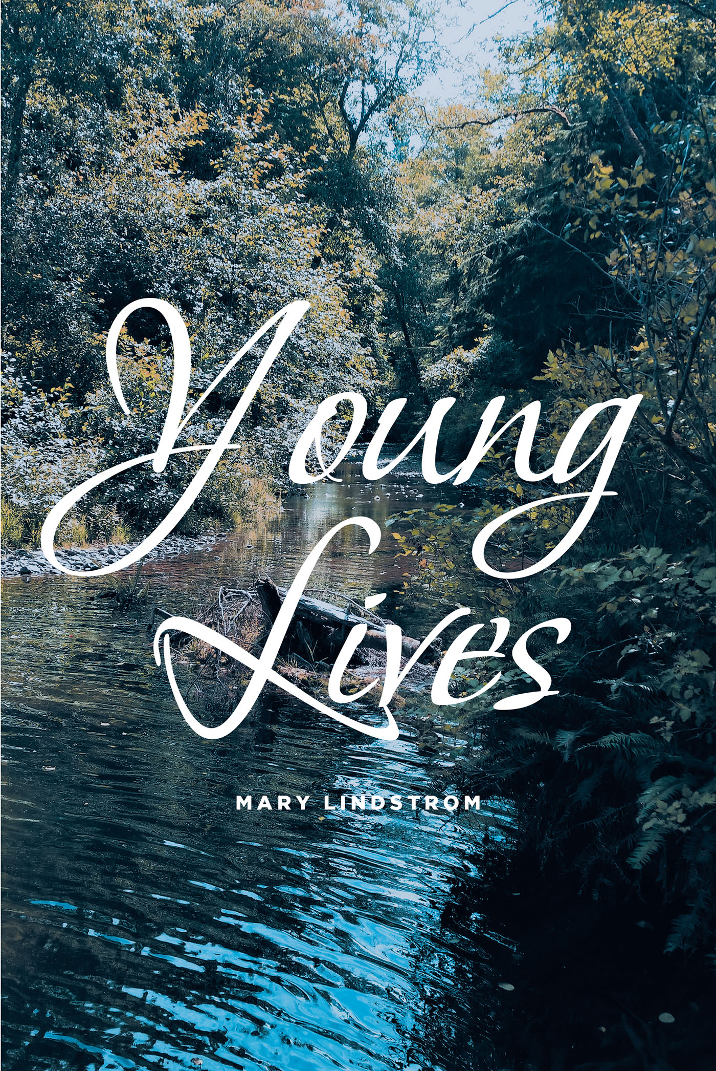 Mary Lindstrom’s New Book, "Young Lives," is a Captivating Story of the Incredible Events Experienced by One Family Across Three Generations That Shaped Their Lives