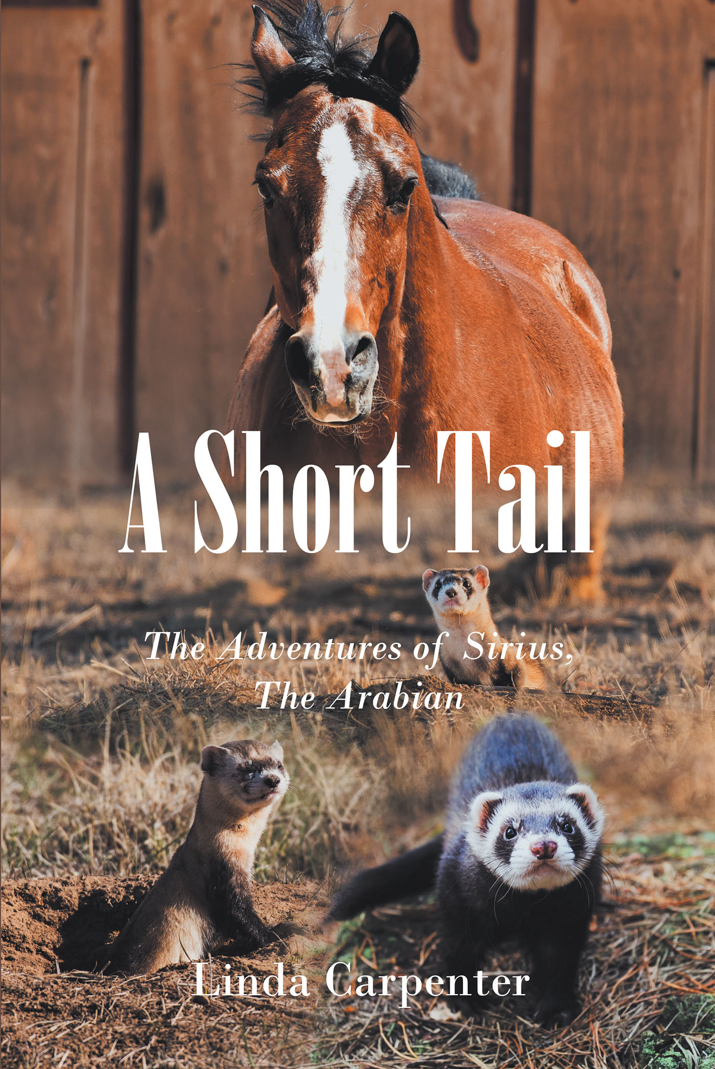 Author Linda Carpenter’s New Book, "A Short Tail," is the Captivating Story of a Brave Arabian Horse Who Uses His Newly Found Magic for a Very Important Quest