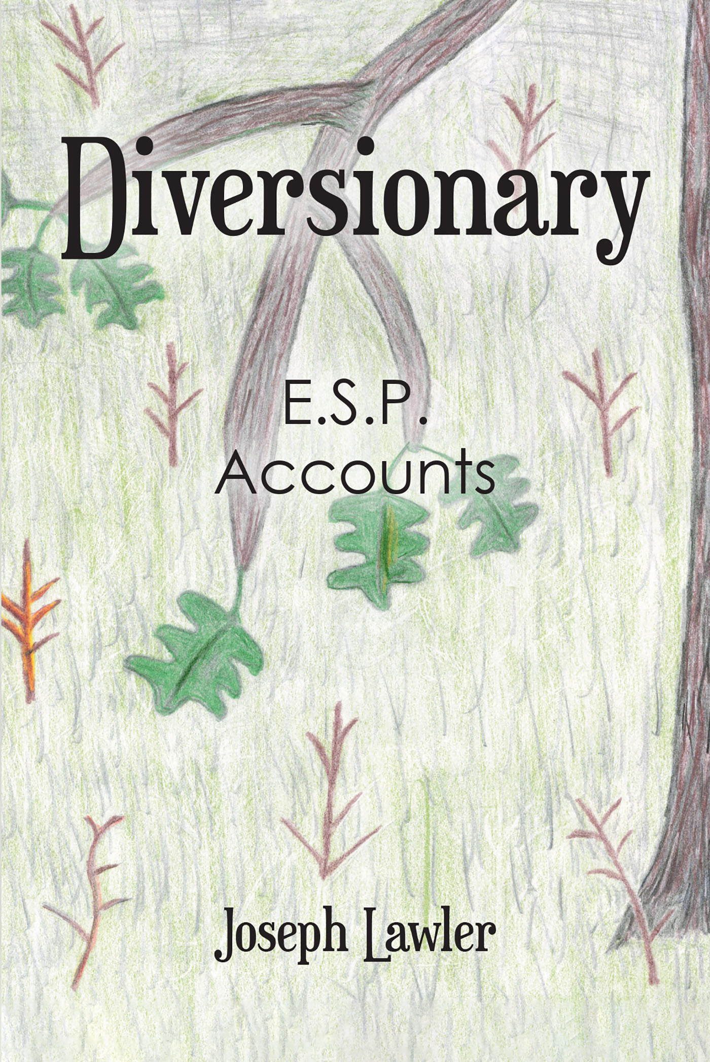 Author Joseph Lawler’s New Book, "Diversionary: E.S.P. Accounts," Follows the Author as He Experiences Astral Visions That Reveal Truths About the Physical World