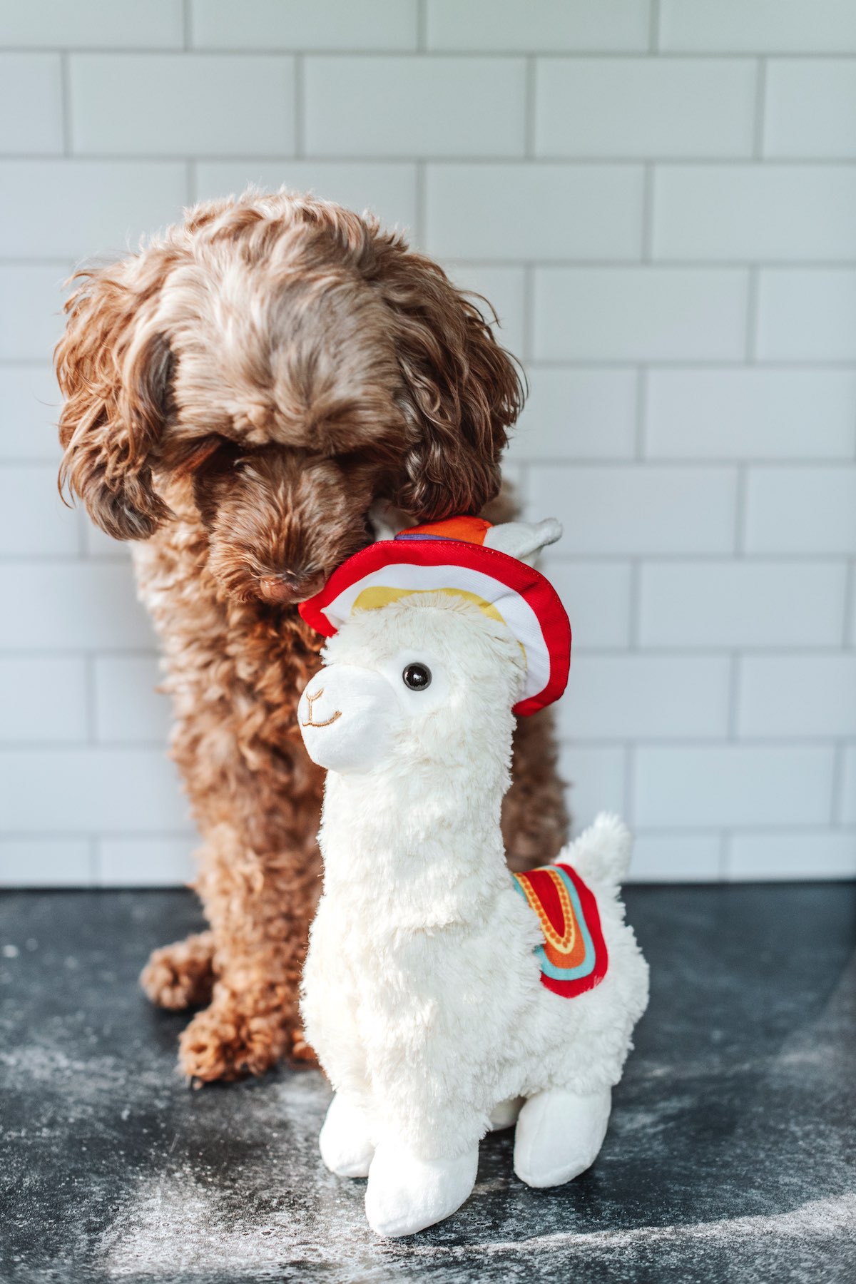 Barkwow Just Released New Design Alpaca Plush Toy for Pet Lovers