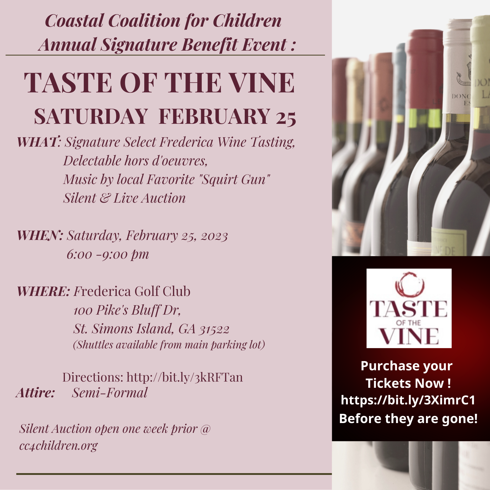 Coastal Coalition for Children Hosts Taste of the Vine 2023