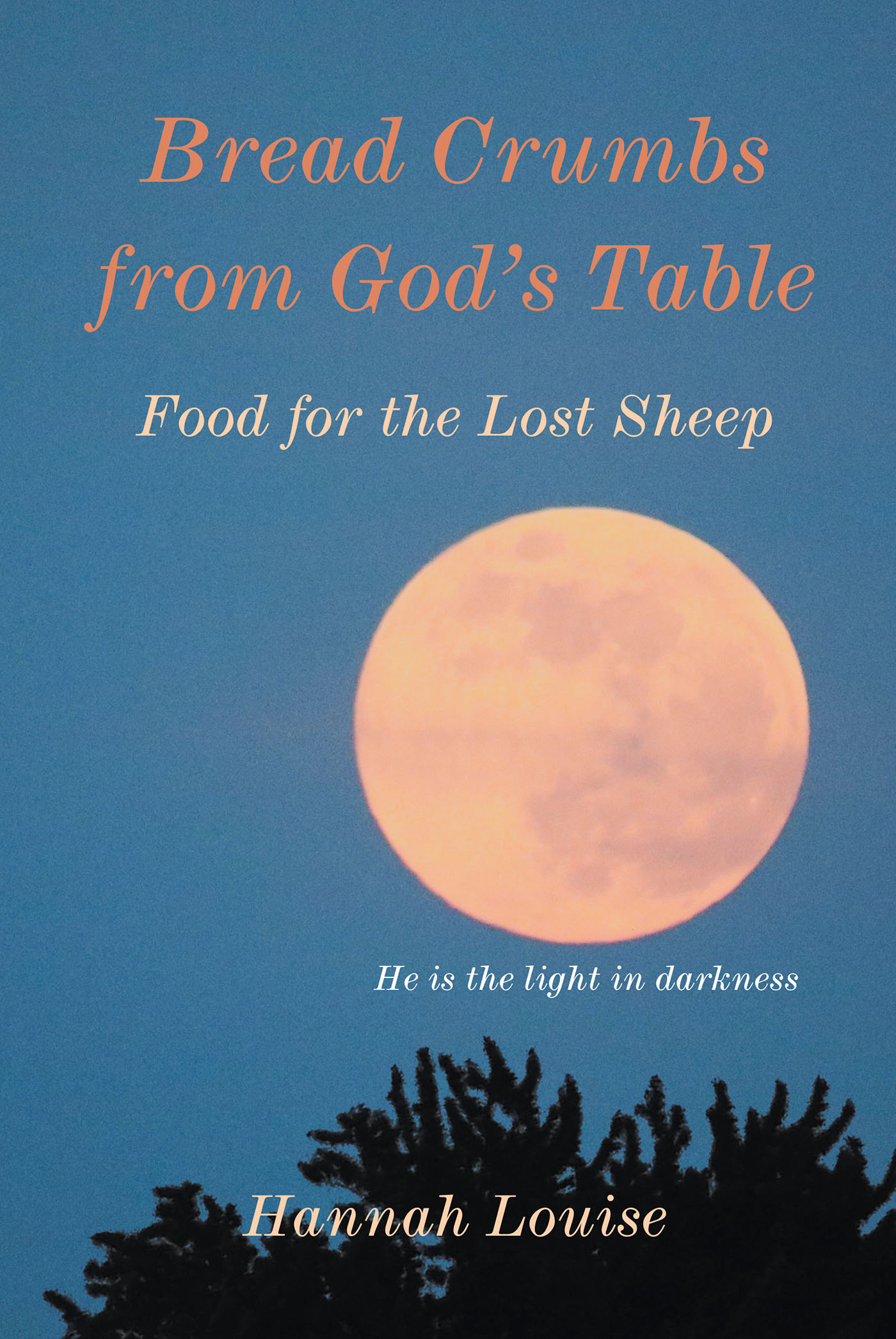 Hannah Louise’s Newly Released "Bread Crumbs from God’s Table" is an Enjoyable Selection of Key Scripture Meant to Inspire and Empower