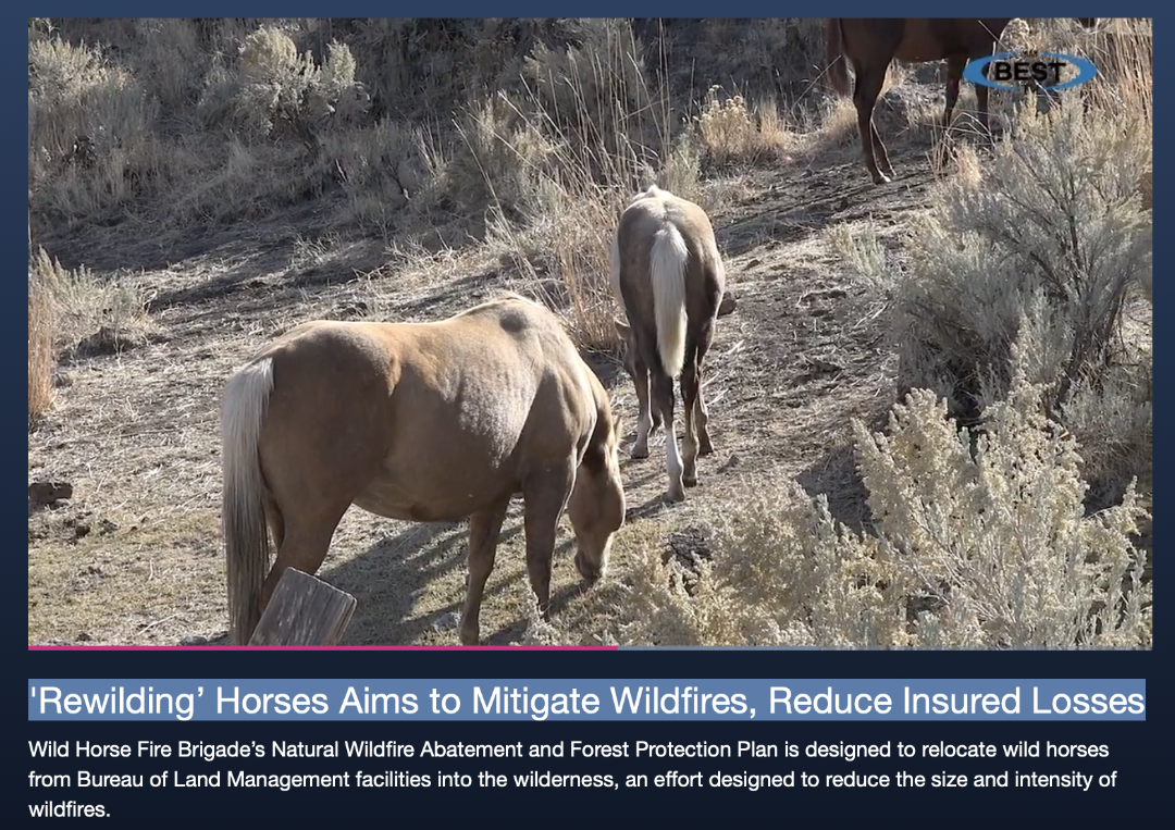 Plan to Use Wild Horses for Wildfire Fuel Mitigation Characterized as "Innovative Approach" by AM Best TV