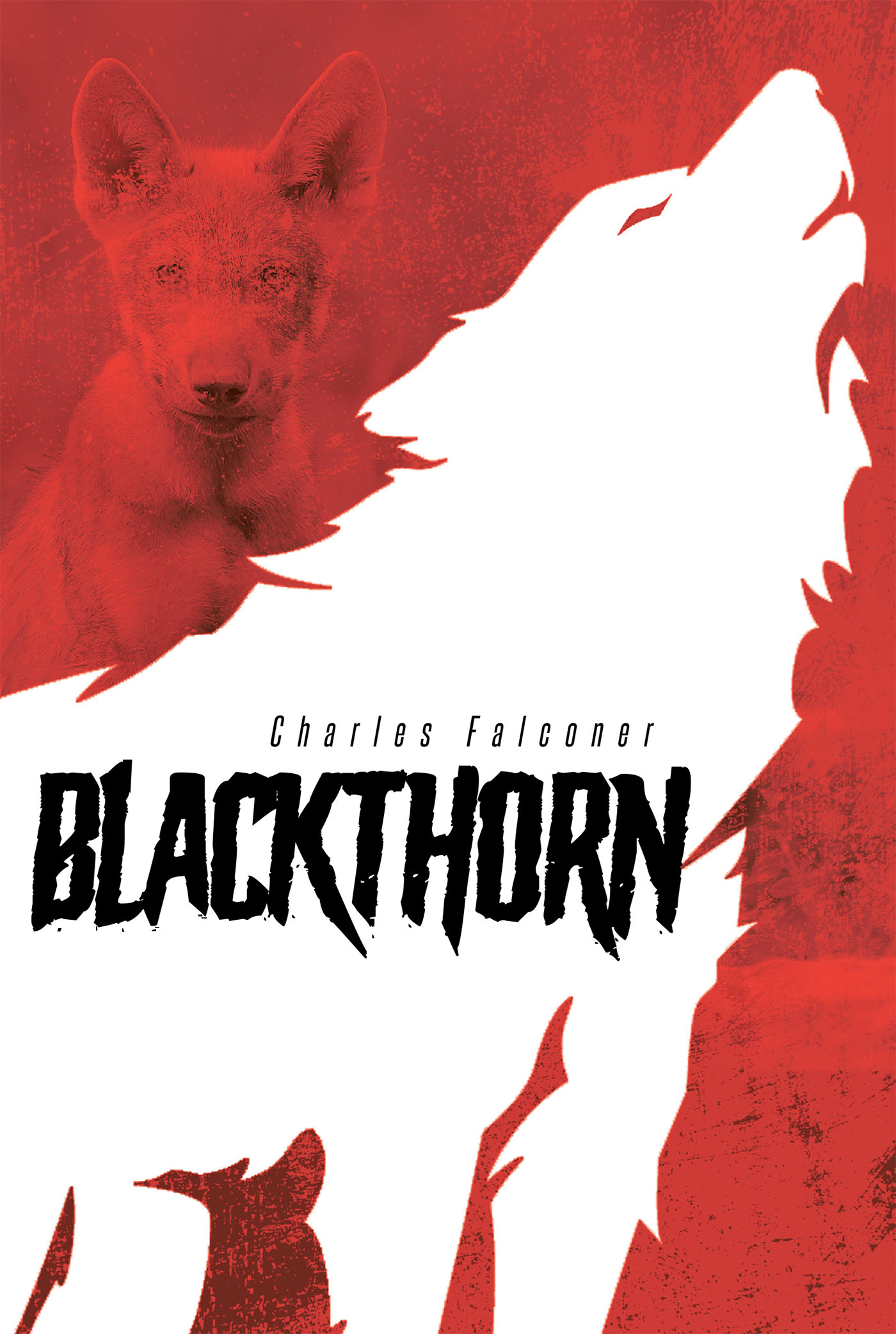 Author Charles Falconer’s New Book, "Blackthorn," is a Spellbinding Fantasy Following an Unlikely Friendship Between a Young Lupine Elf & a Traditionally Hated Human Boy