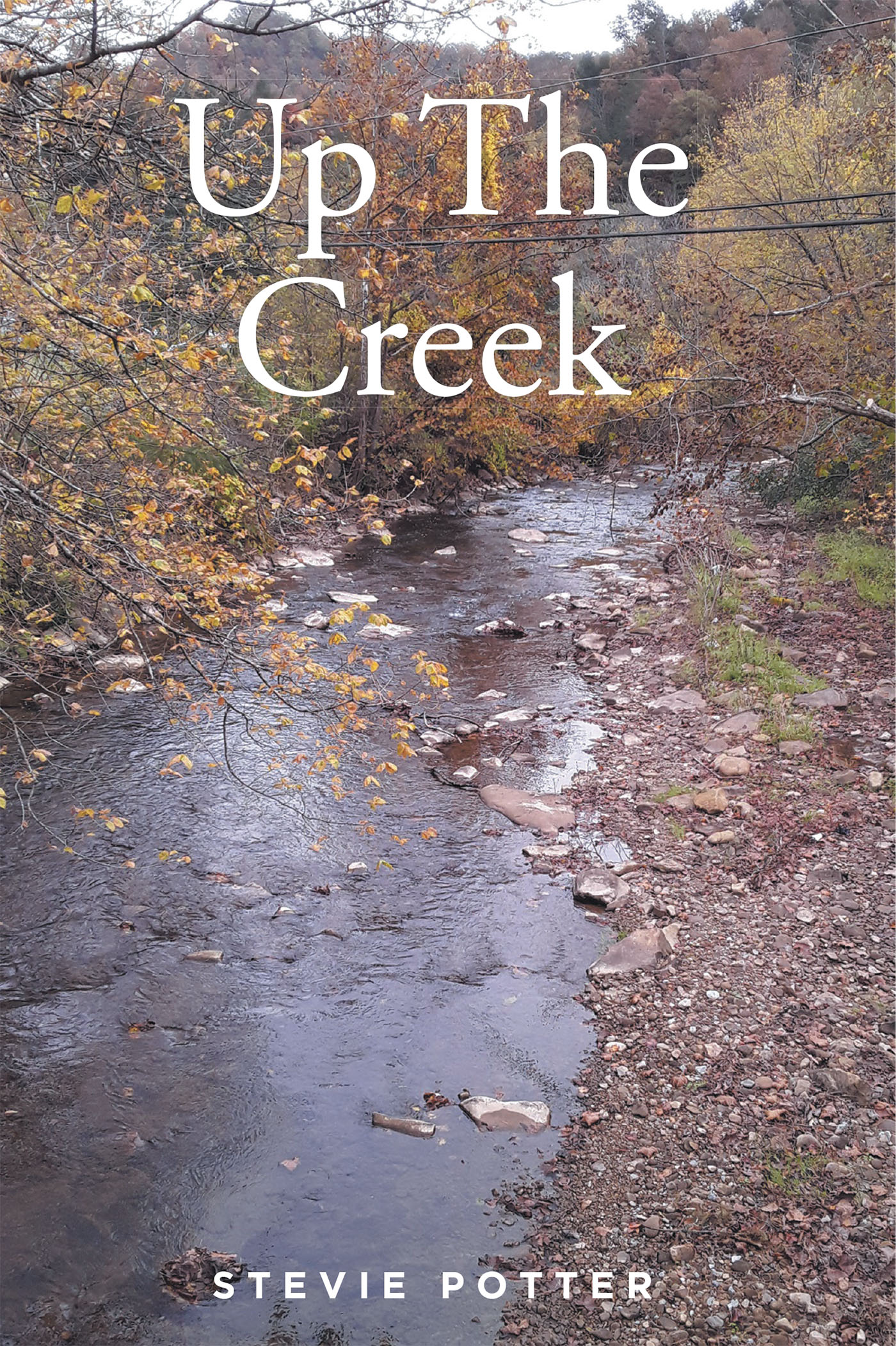 Stevie Potter’s Newly Released "Up The Creek" is an Inspiring Memoir That Examines the Author’s Formative Years Filled with Challenges and Blessings