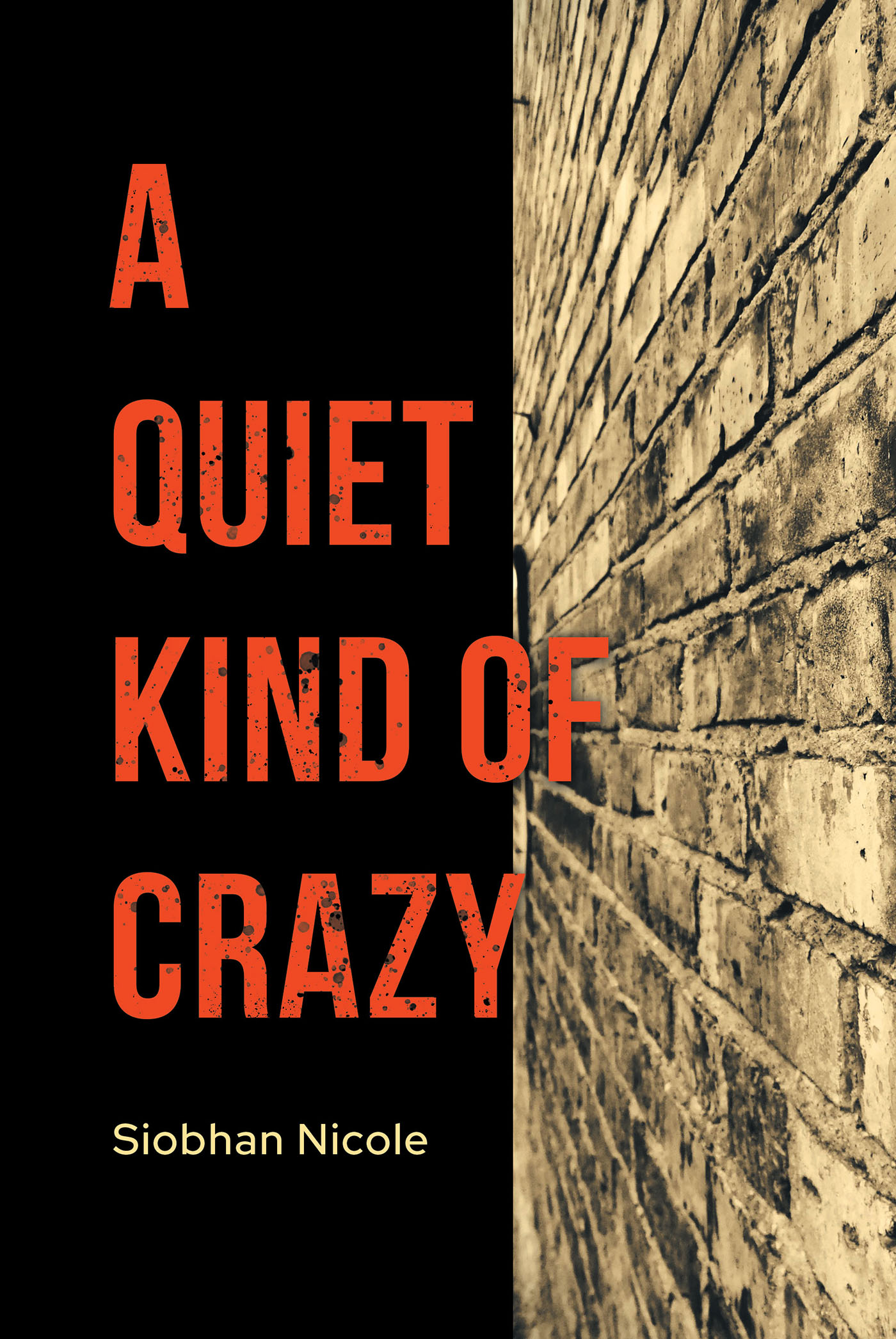 Author Siobhan Nicole’s New Book, "A Quiet Kind of Crazy," is a Thought-Provoking Story Exploring the Anguish That Those Who Hide Their True Selves Are Forced to Endure