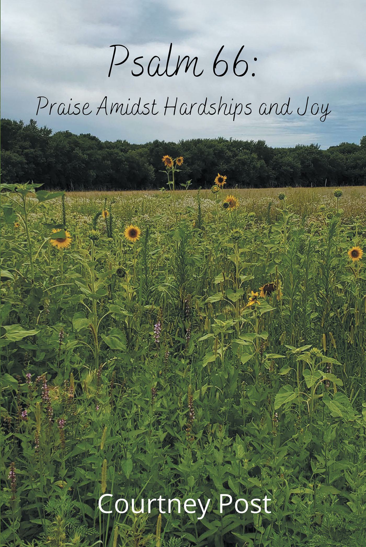 Author Courtney Post’s New Book, “Psalm 66: Praise amidst Hardships and Joy,” is a 20-Day Devotional That Takes a Deep Dive Into the Psalm Writer’s Highs and Lows