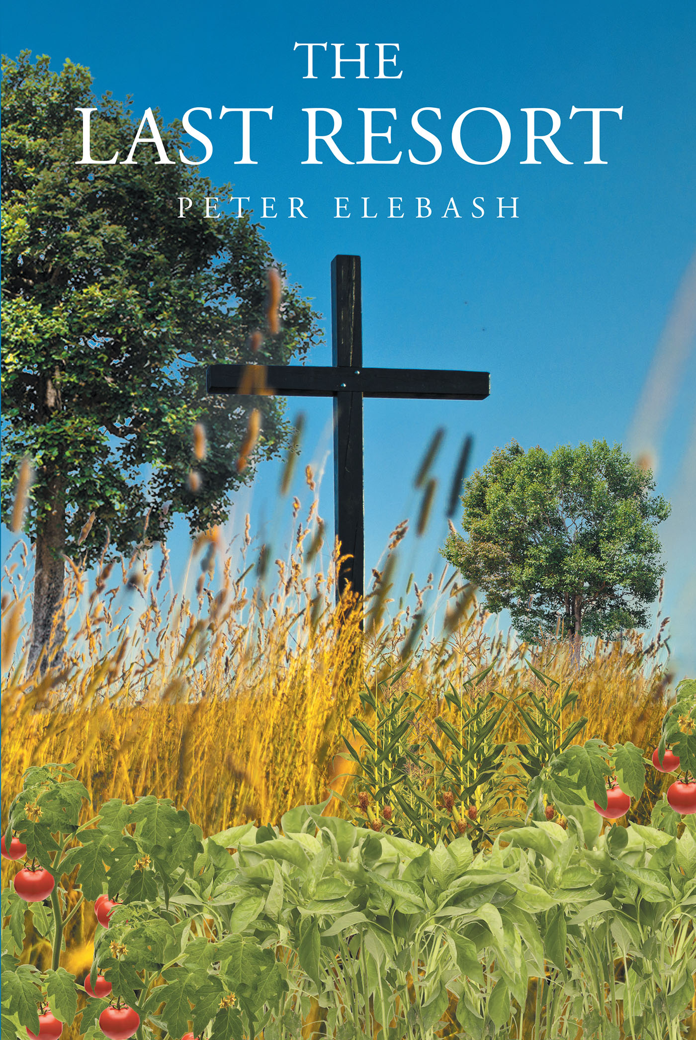 Peter Elebash’s New Book, "The Last Resort," is an Entertaining and Compelling True Story That Follows One Man’s Eclectic and Fascinating Life Journey