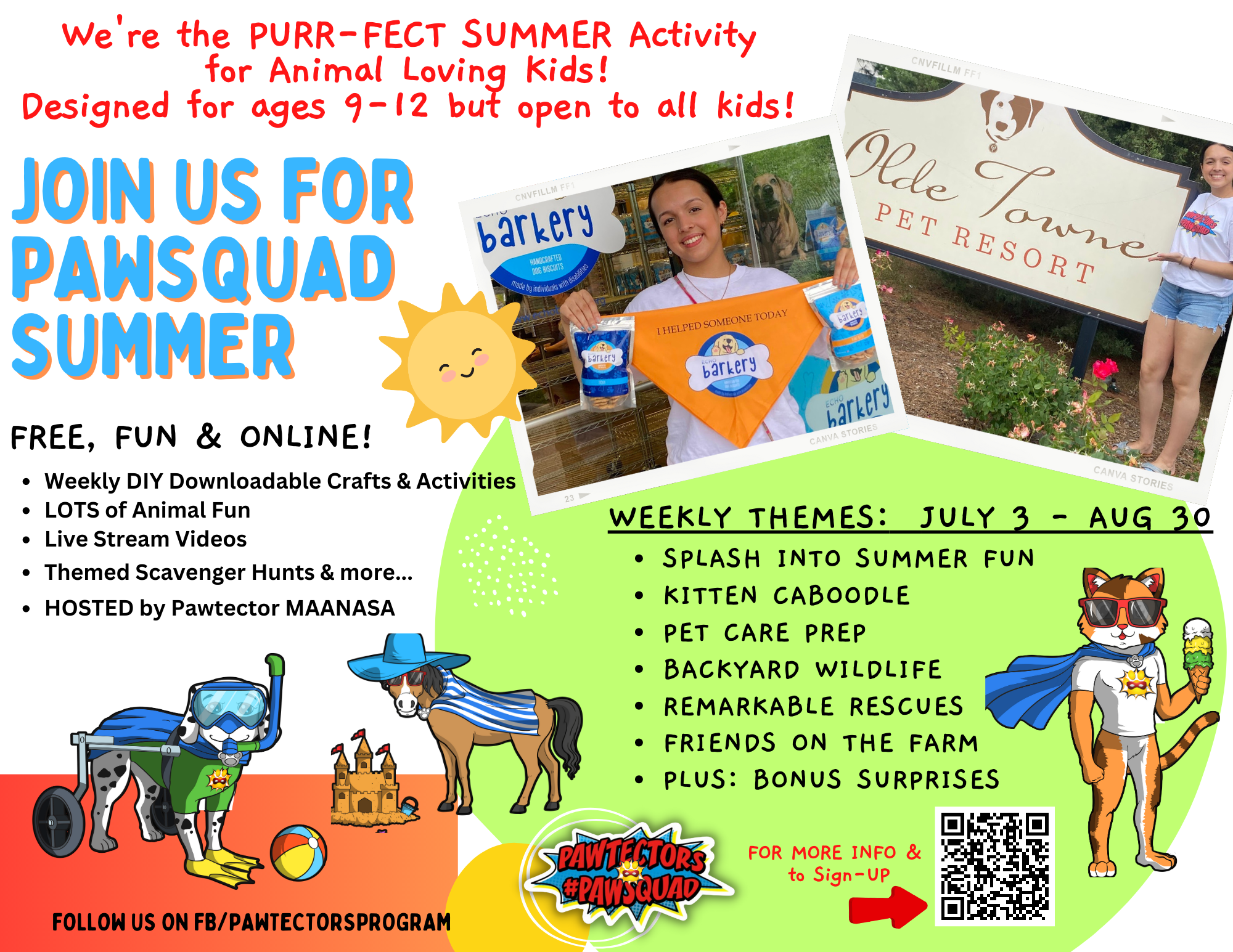 Super Hero Summer Camp That Saves Homeless Animals